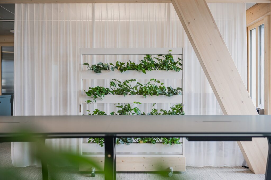 Ein vertikaler Garten mit üppig grünen Pflanzen auf Regalen in einem modernen Interieur mit Holzbalken und transparenten Vorhängen.