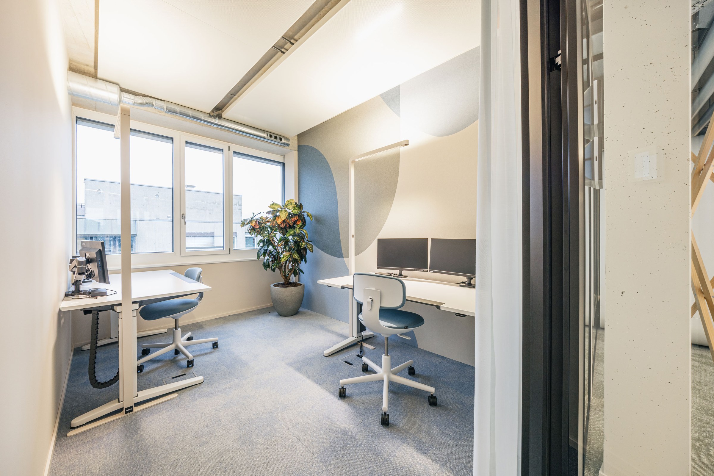 Lichtdurchflutetes Zweierbüro mit zwei Arbeitsplätzen, blauen Bürostühlen und einer Zimmerpflanze.