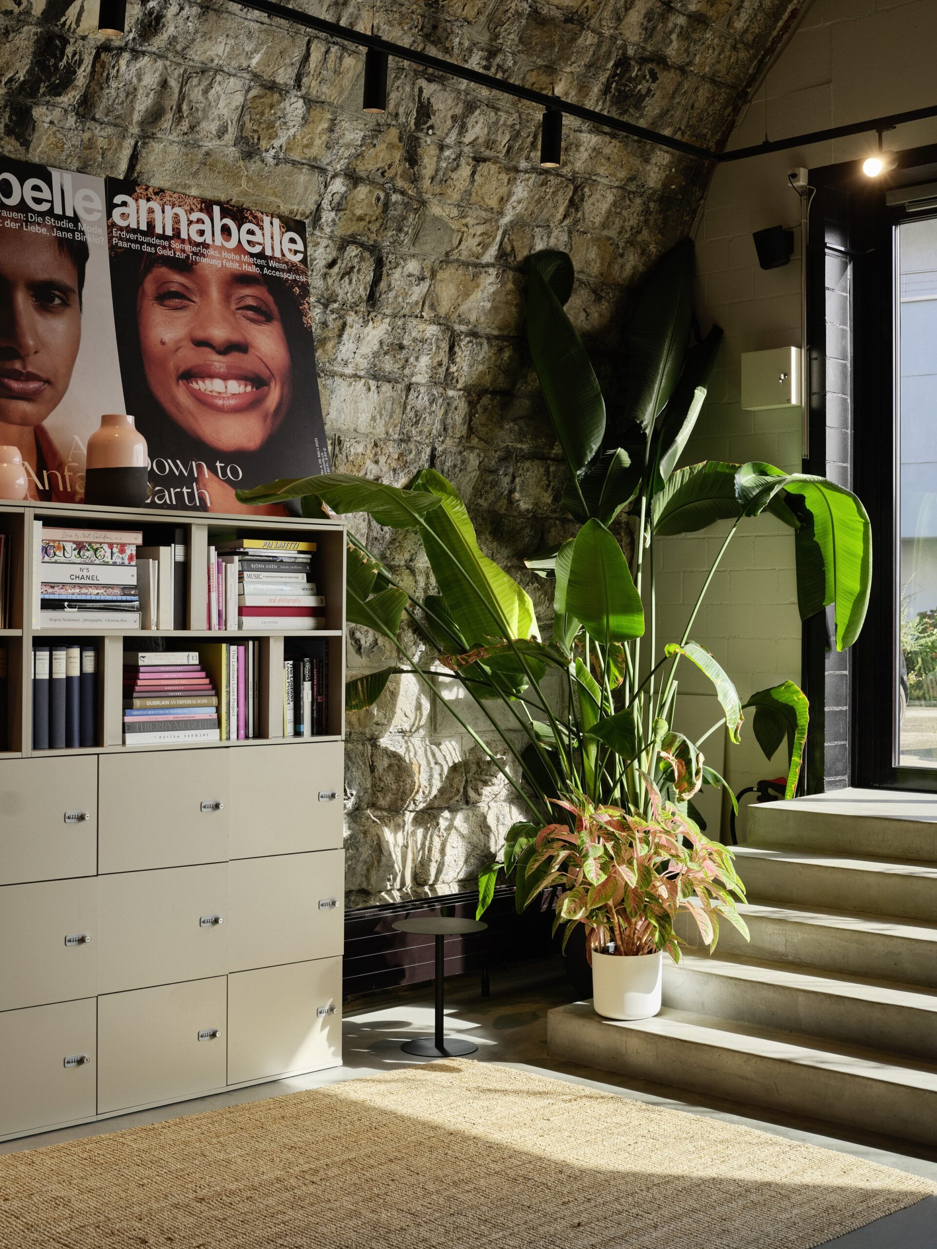 Regal vor Steinwand mit Blick zur Fensterfront mit Magazincover und Pflanzen dekoriert.