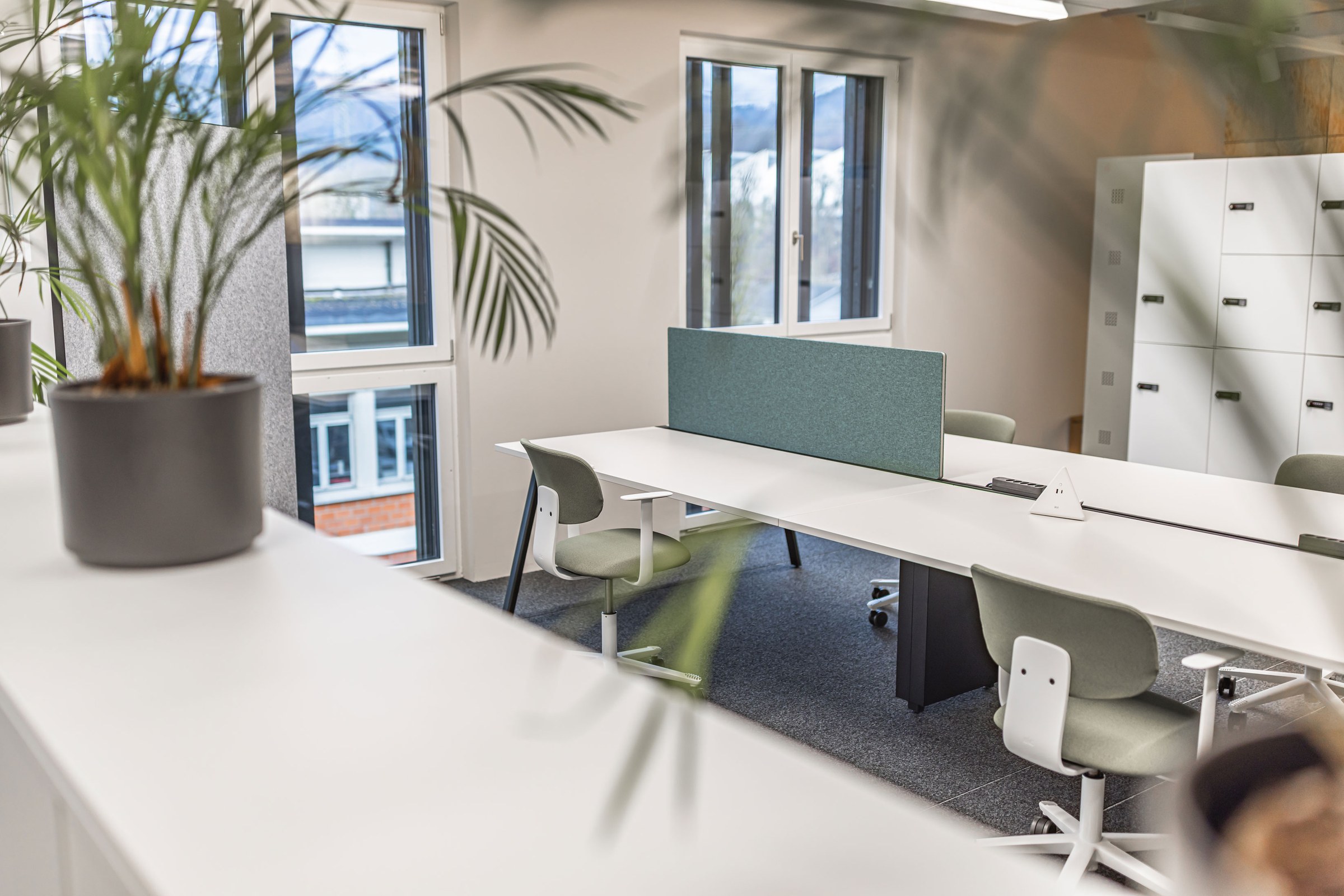 Großzügiges Büro mit Schreibtischen, Lockerschränken und Pflanzen.